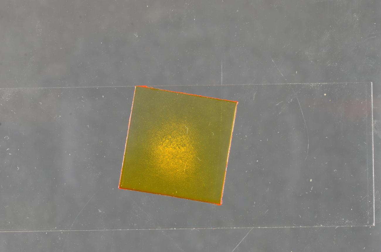 a drop of glitter ink on a microscope slide