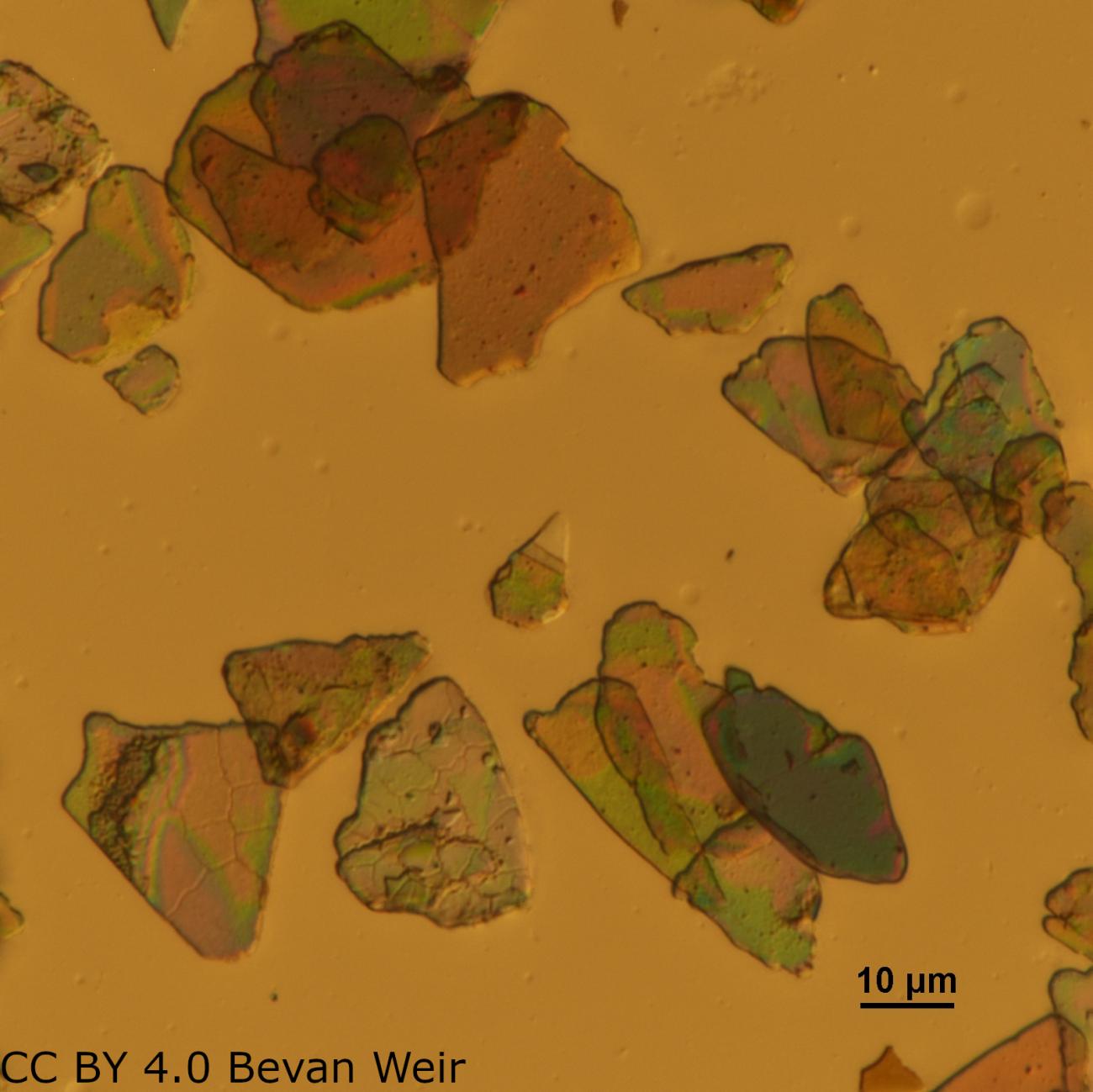 goldstart fountain pen ink under the microscope showing glitter particles 40X Differential interference contrast